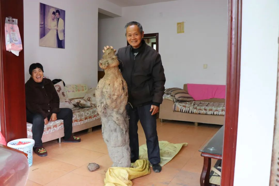 圖片